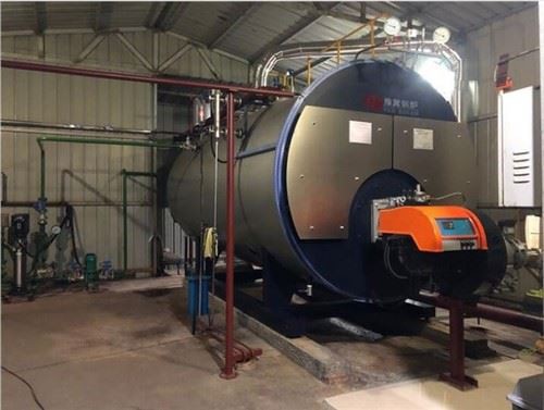 Cazan de abur vertical de 500 kg